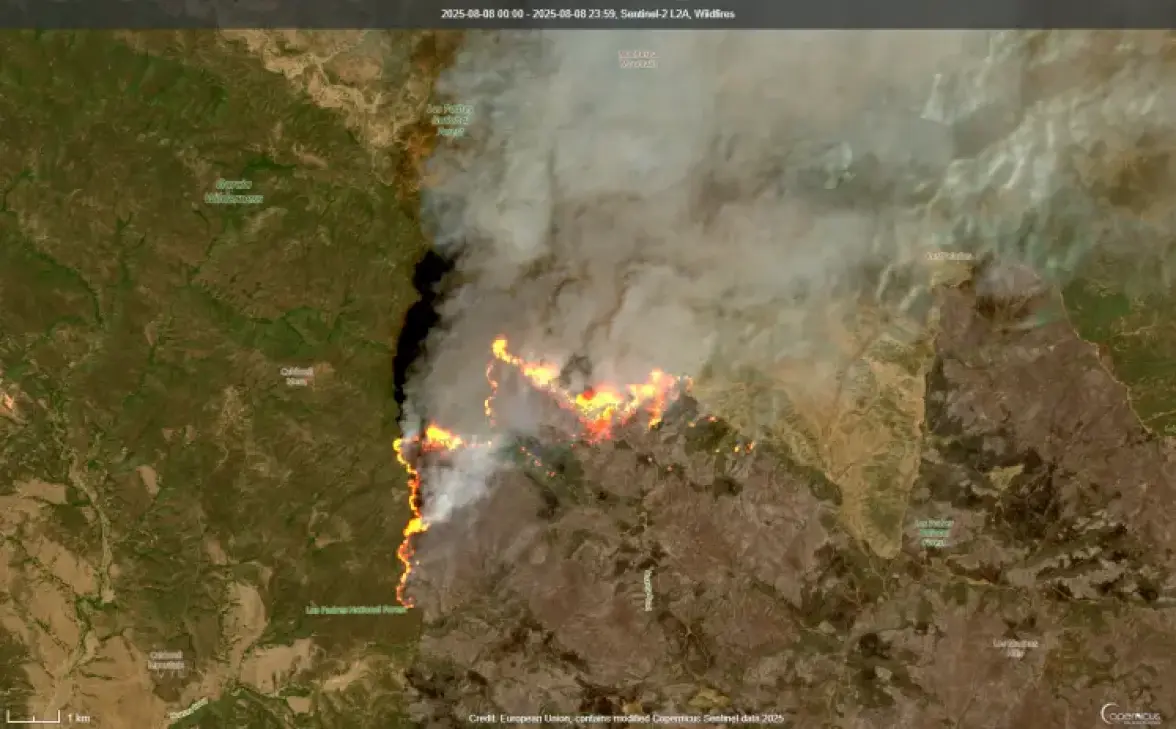 2025-08-08-00_00_2025-08-08-23_59_Sentinel-2_L2A_Wildfires _8_.webp